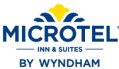 (image for) Microtel Logo D